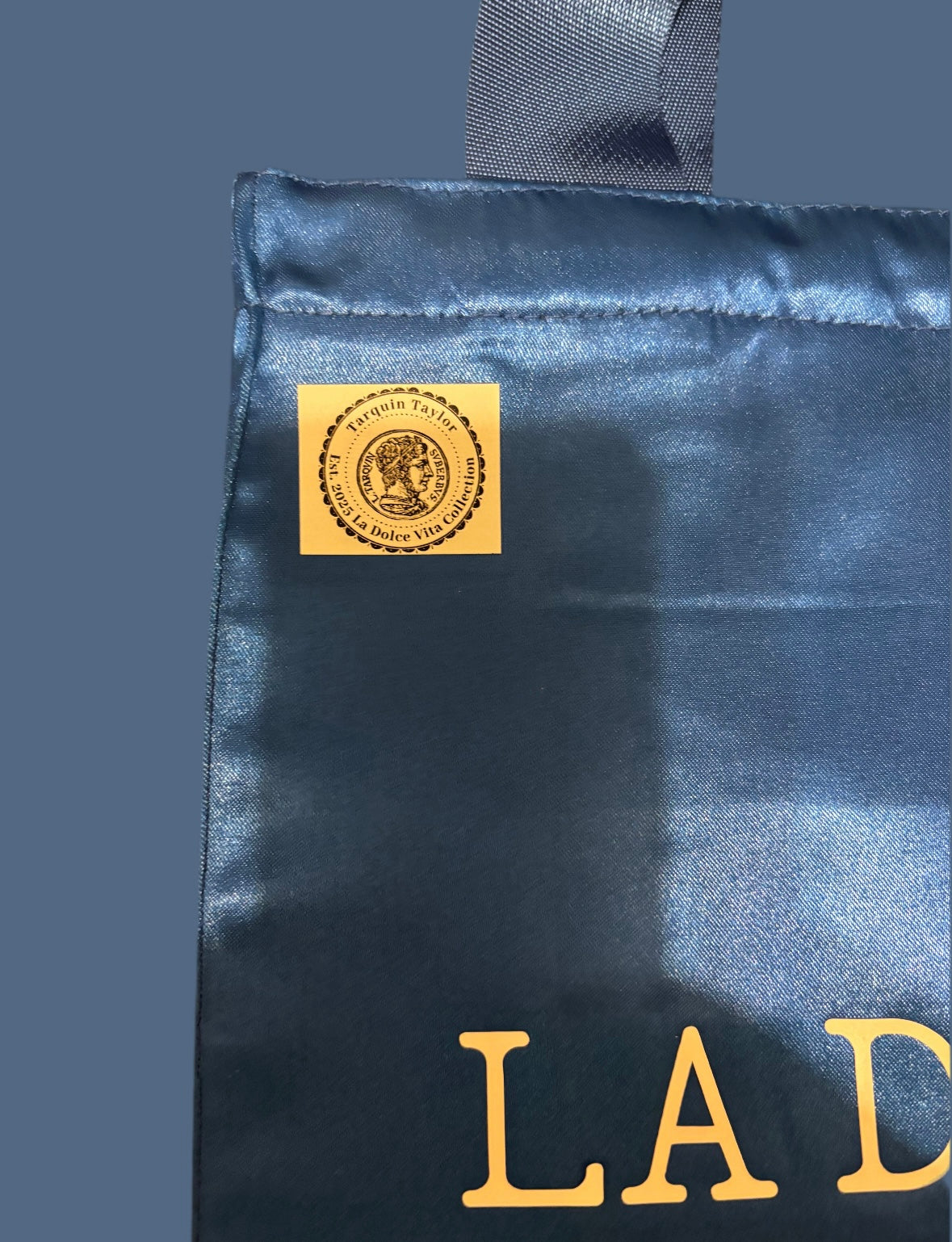 La dolce vita collection women’s dress and tote bag